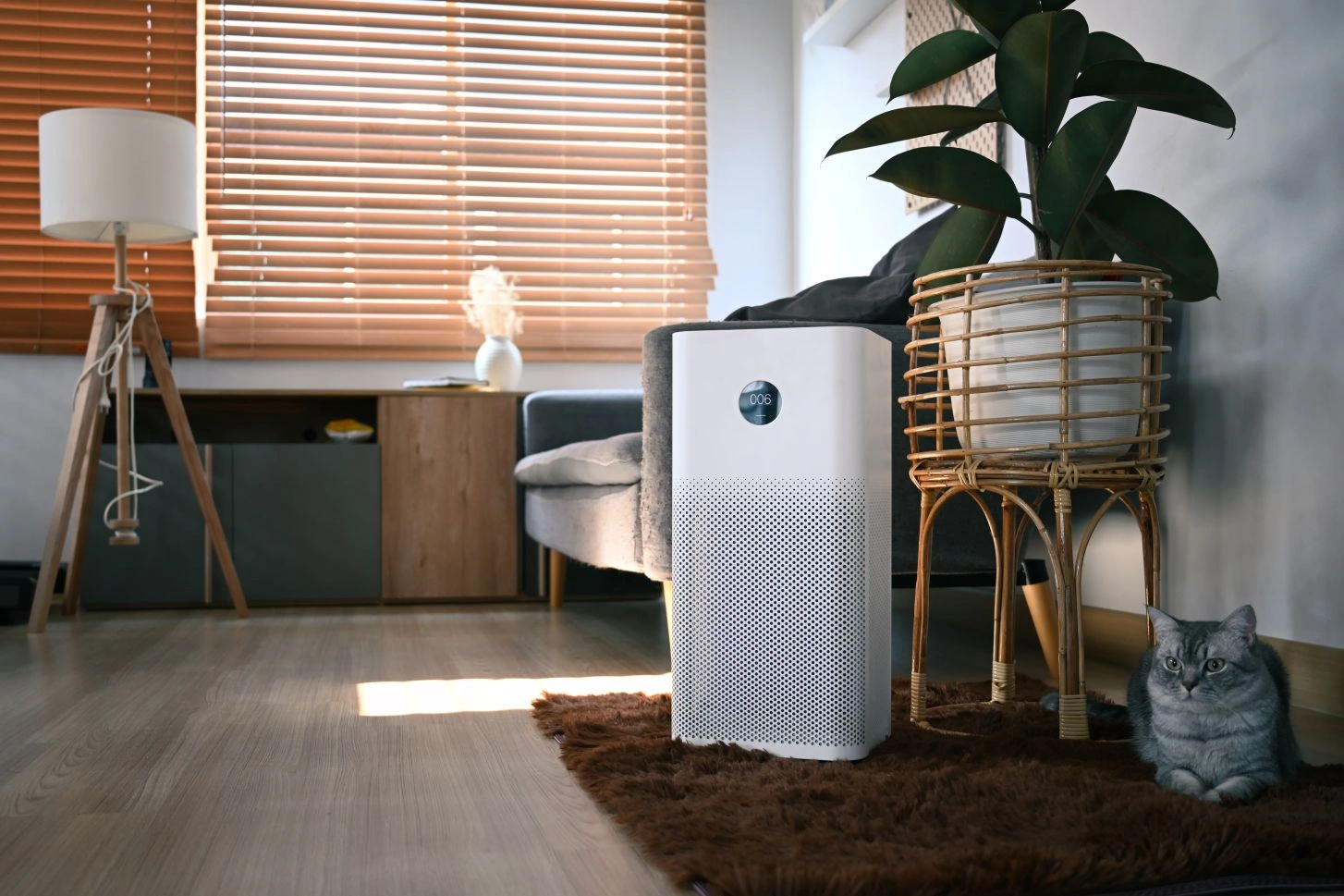 air purifier with lovely cat houseplant wooden floor living